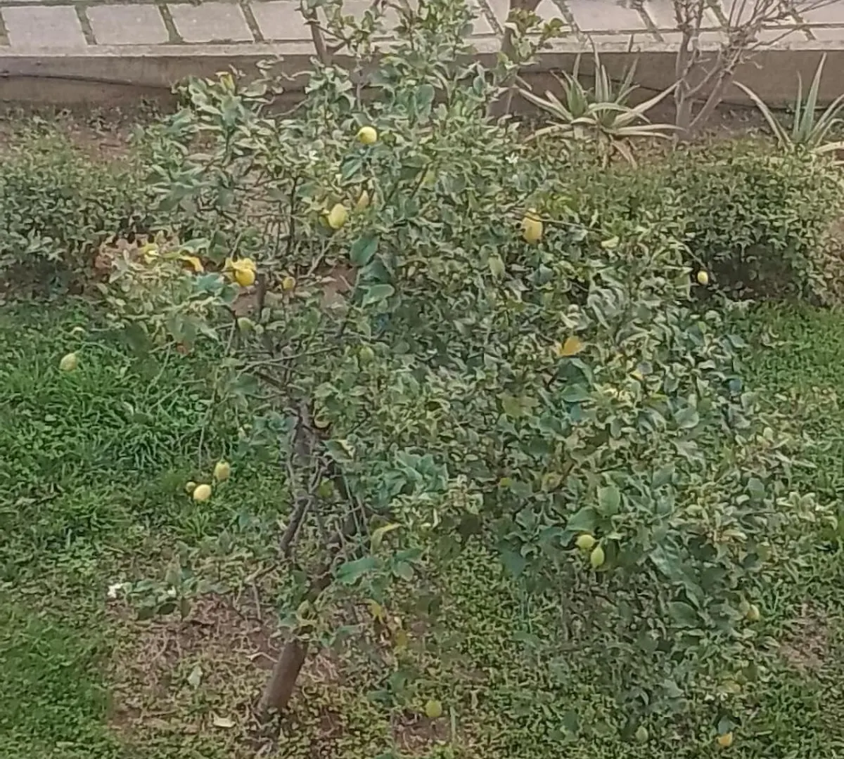 Casa Dei Nonni Lägenhet Venturina Terme Italien