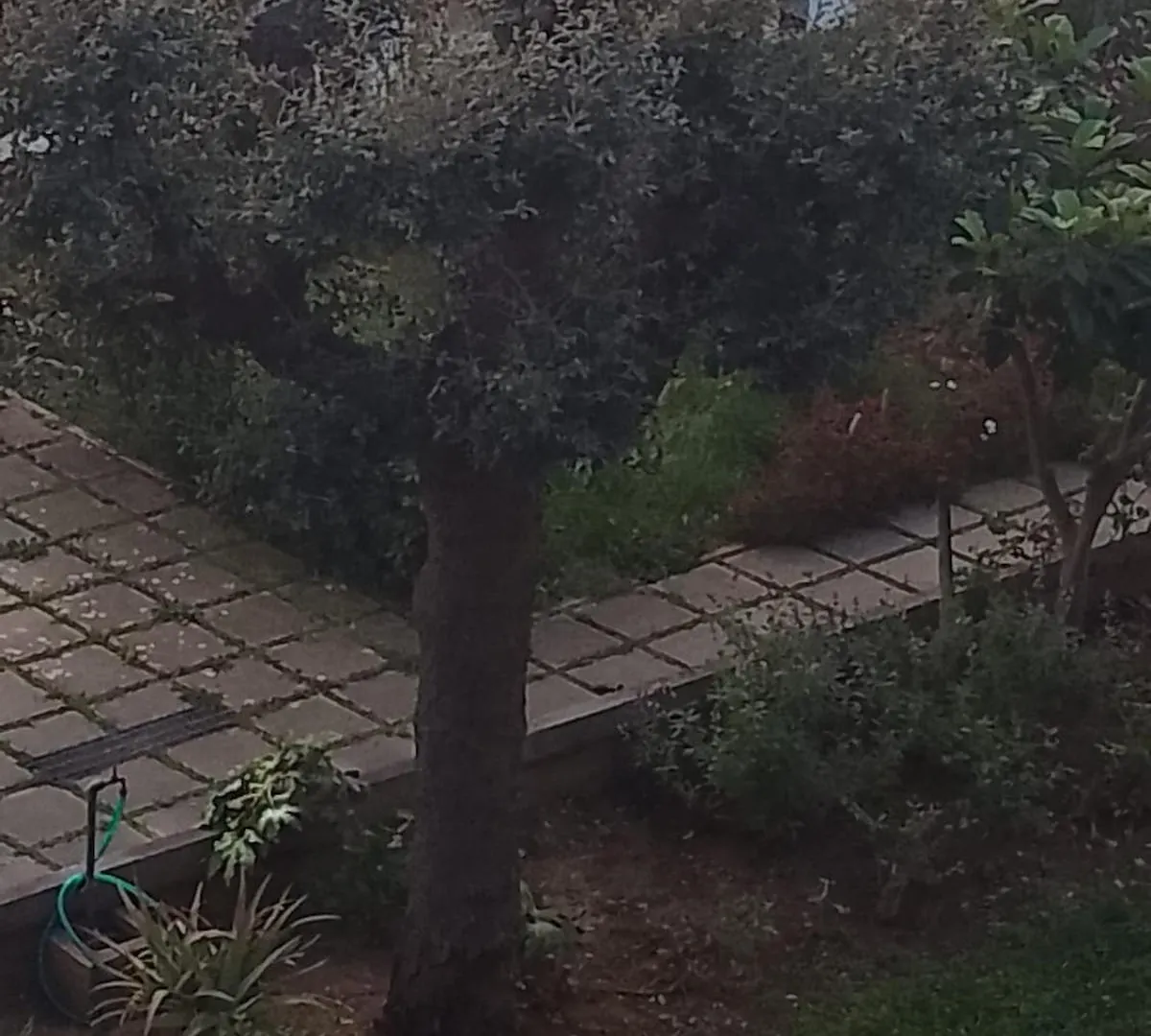Casa Dei Nonni Lägenhet Venturina Terme